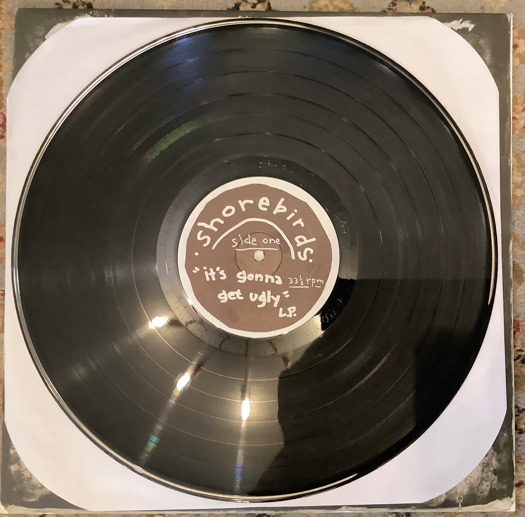 Shorebirds – It’s Gonna Get Ugly