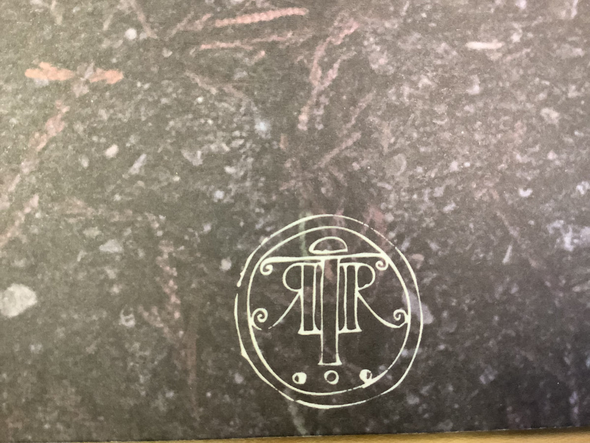 RVIVR - The Beauty Lies Between LP