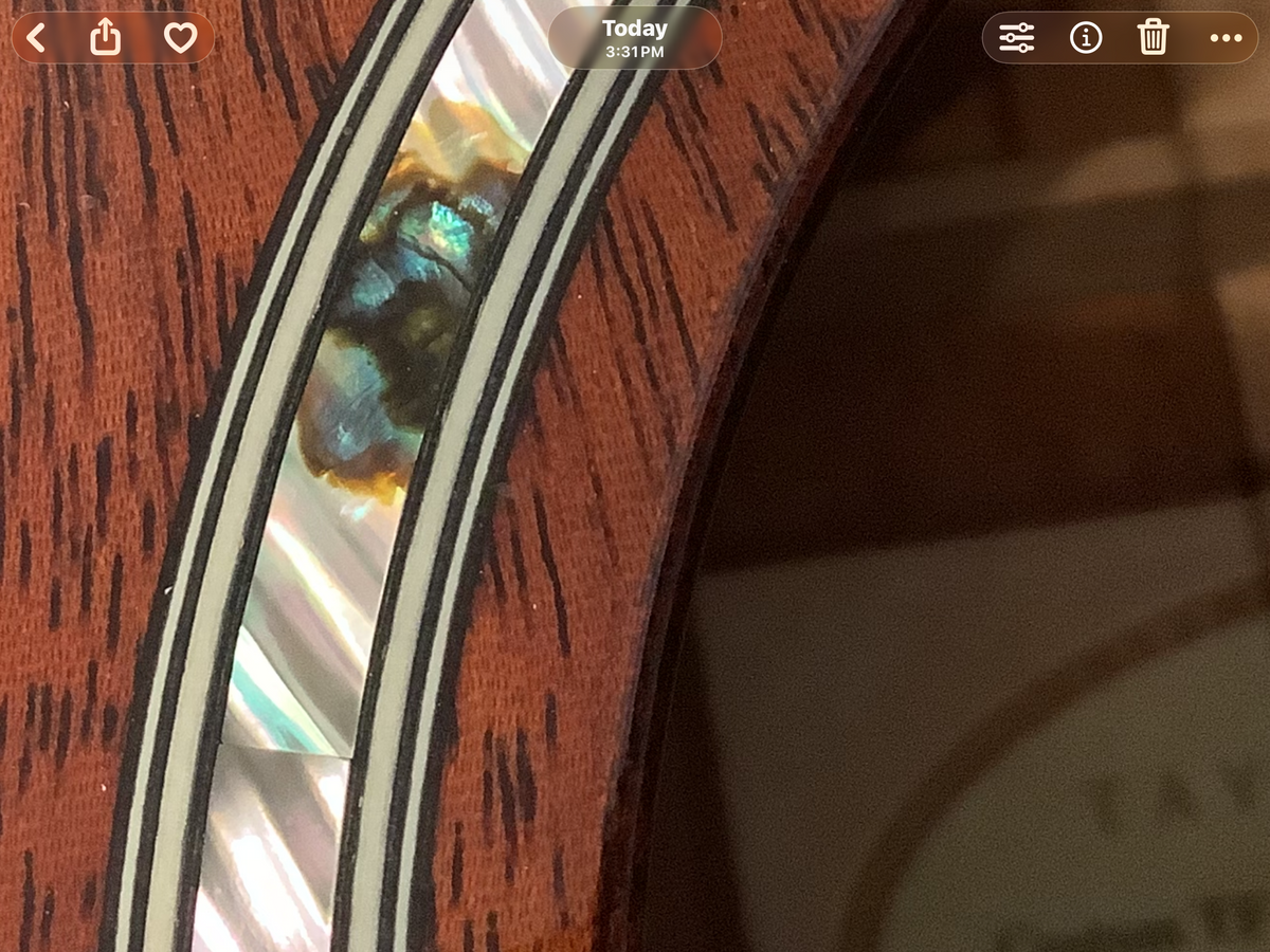 Taylor Custom Shop Grand Concert – Highly Figured Mahogany – Running Horses Inlay