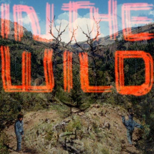 FaltyDL In The Wild