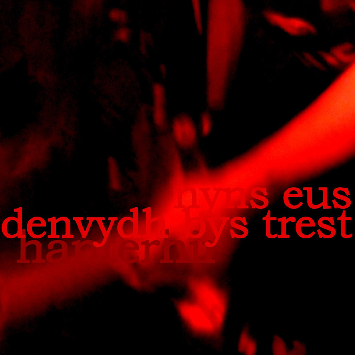Hanterhir There is No One to Trust (Nyns Eus Denvydth Bys Trest)