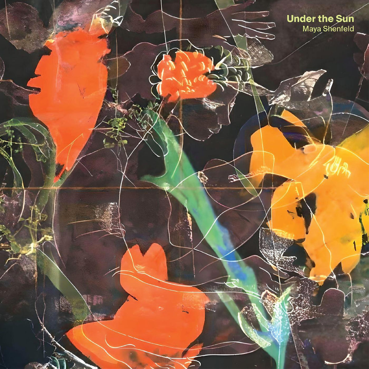 Maya Shenfeld Under The Sun (Indie Exclusive Opaque Yellow Vinyl)