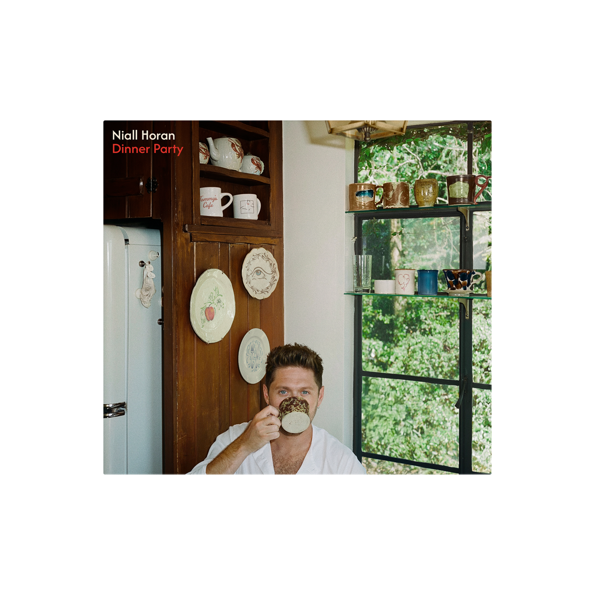 Niall Horan Dinner Party [Porcelain Vinyl]