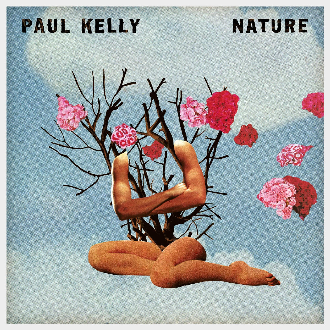 Paul Kelly Nature