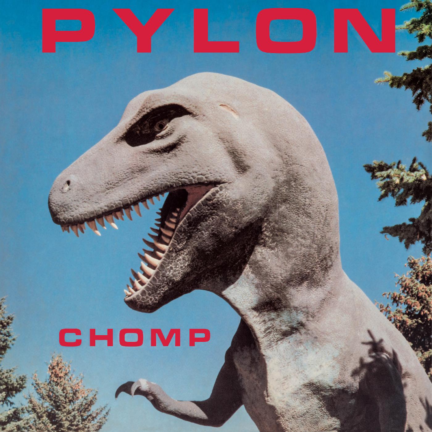 Pylon Chomp