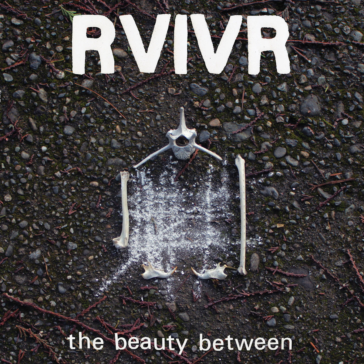 RVIVR The Beauty Between [Black/Clear Vinyl]