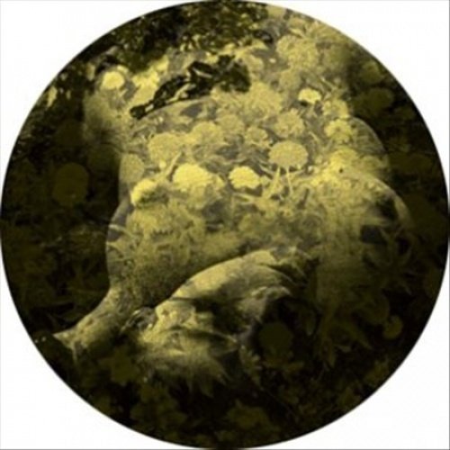 Salva Yellobone - 12_x001A_