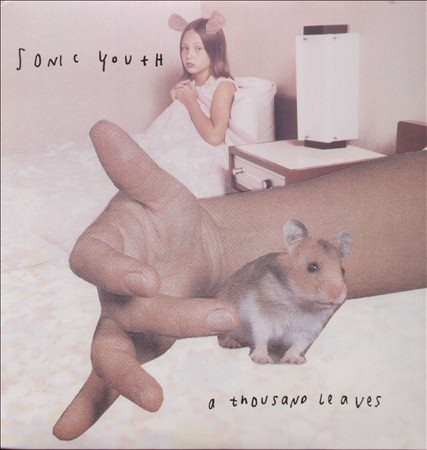 Sonic Youth A Thousand Leaves (2 Lp's)