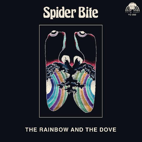 Spider Bite The Rainbow And The Dove
