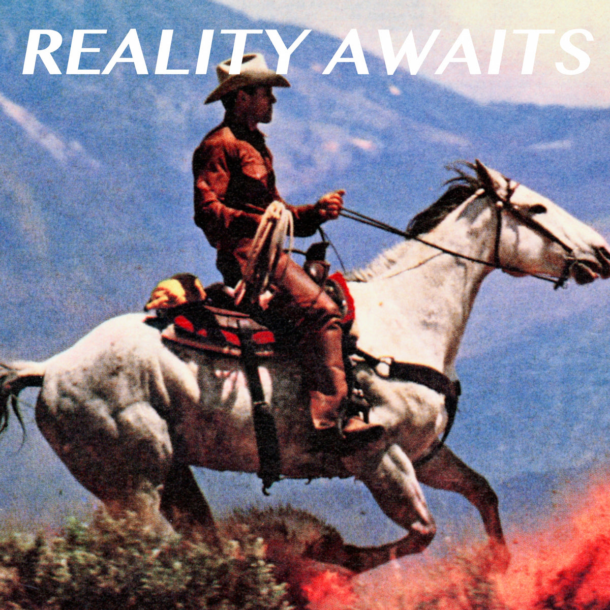 The Strokes Reality Awaits (180 Gram Vinyl, 12 Page Booklet)