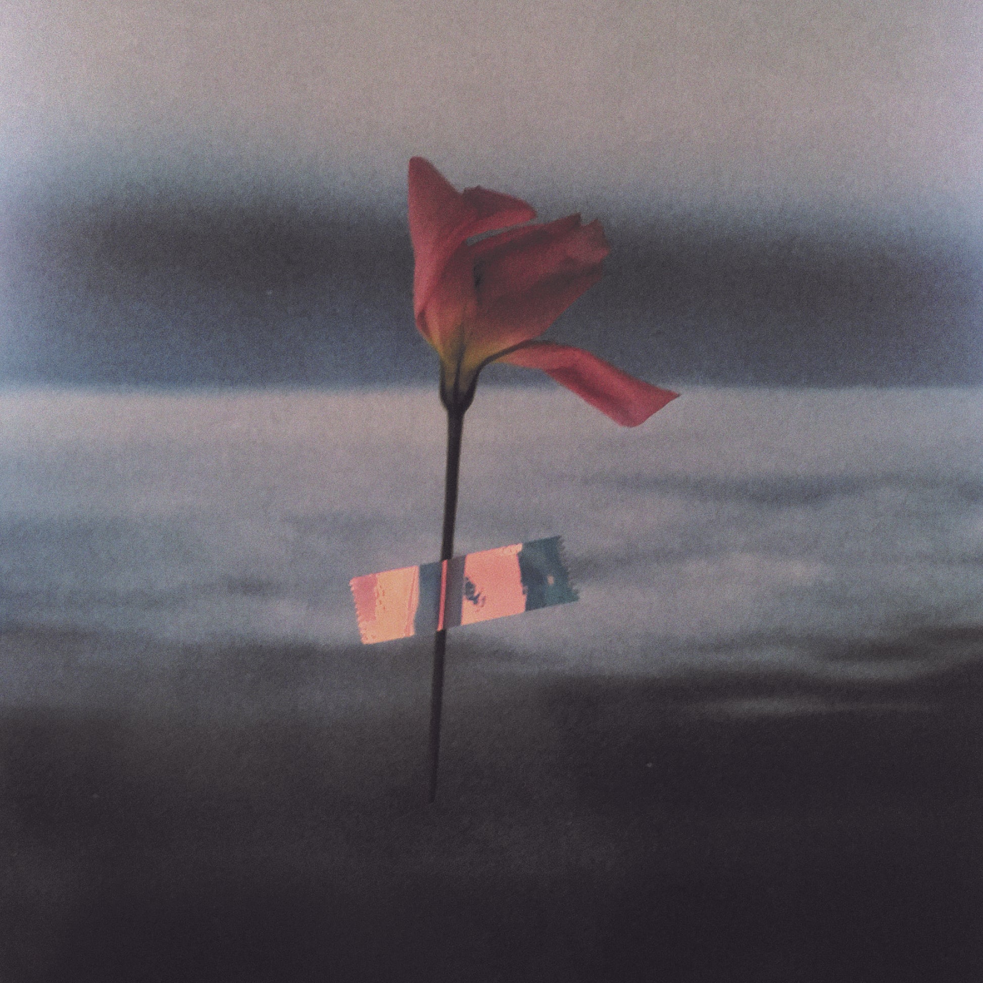 Will Samson Paralanguage (CLEAR VINYL)